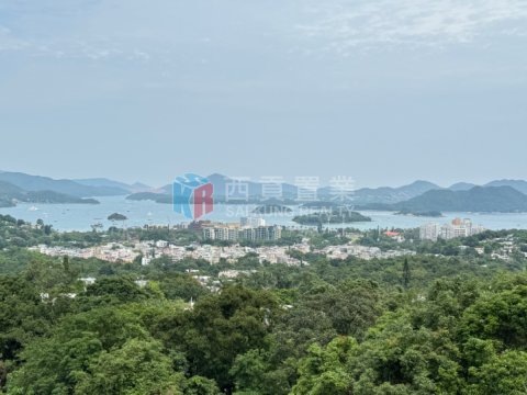南山村