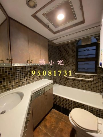 布心排  95081731