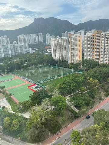 东头村 九龙城 高层 F124062 售盘