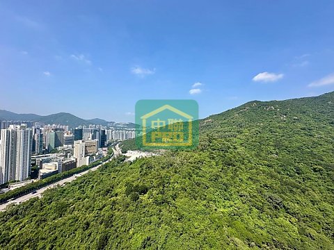 綠怡雅苑 沙田 高層 T173969 售盤
