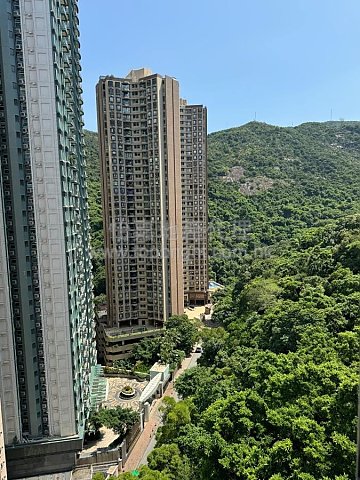 TAI HANG TERRACE Causeway Bay H 114853 For Buy