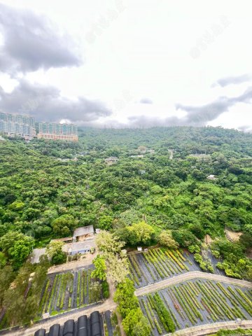 荃景花園 山景二期 荃景花園 山景二期