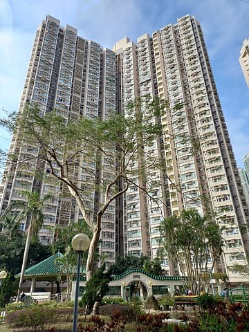 KING LAM EST BLK 06 KING TAO HSE Tseung Kwan O M F182000 For Buy