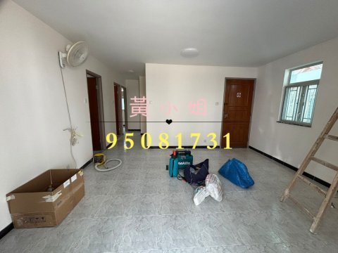 洞梓  95081731