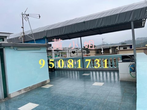 散頭角 95081731