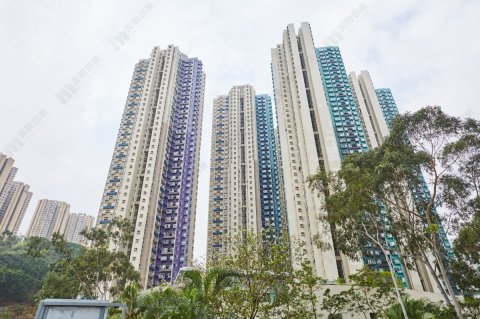 怡心園 將軍澳 中層 1605646 售盤