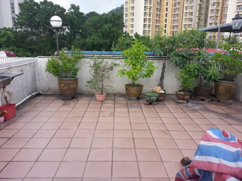 大圍新村 @ EMILY 95080096