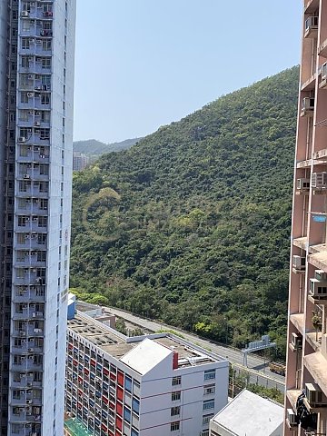 KWONG MING COURT PH 01 BLK C (HOS) Tseung Kwan O H F181978 For Buy