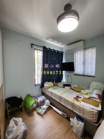 坑下莆 95081731