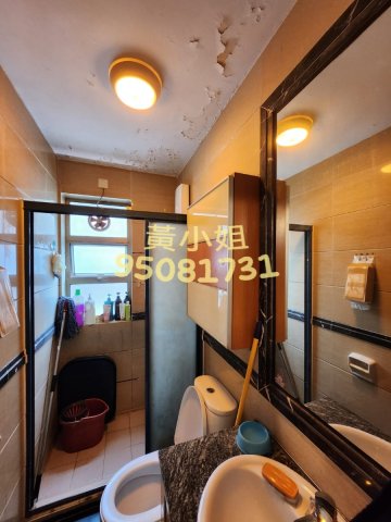 塘面村 95081731