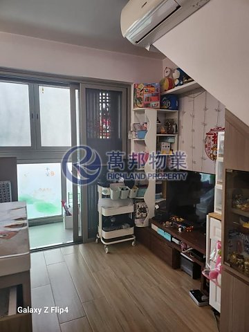 YUEN LENG TSUEN Tai Po M P147545 For Buy