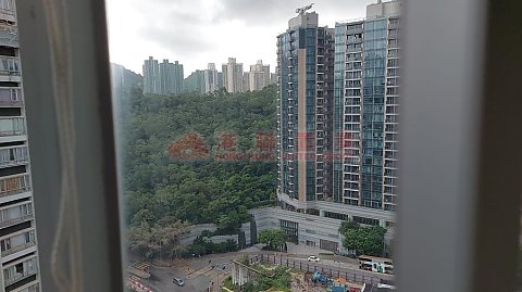 丽港城 蓝田 高层 L801281 售盘