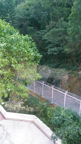 新丽花园 牛池湾 低层 D135048 售盘