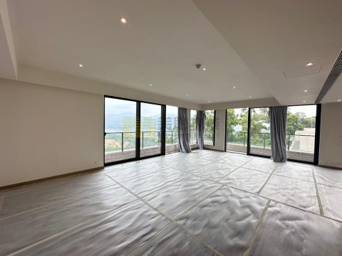 林海山城 大埔 頂層 1589562 售盤