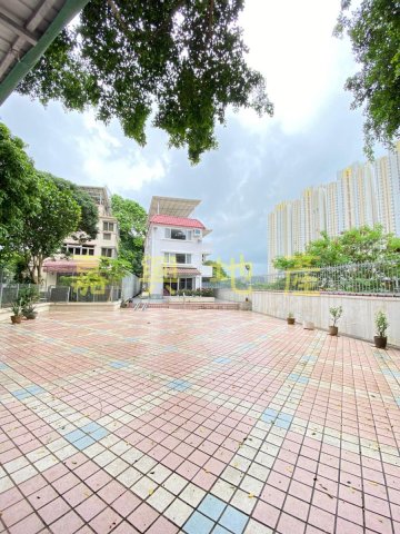 NGAU PEI SHA NEW VILLAGE Shatin All H011906 For Buy