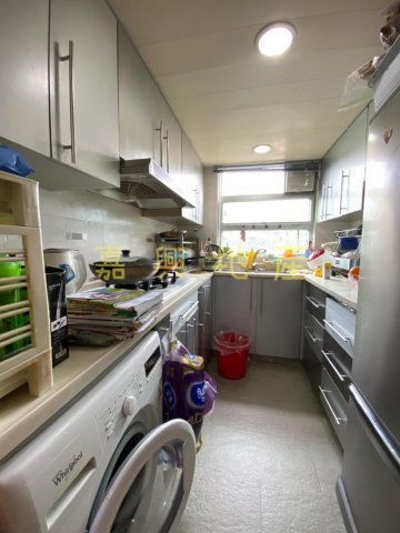 新屋家村  95081731