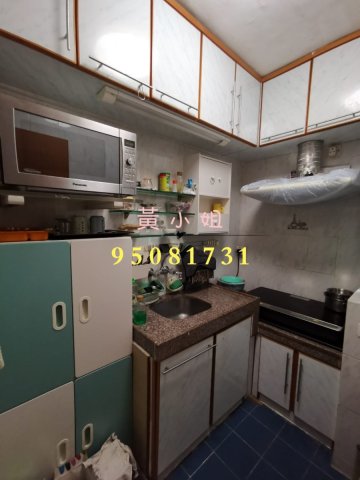 桐梓圍下村 95081731