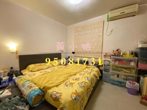 龙尾村  95081731