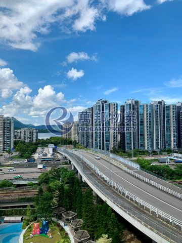 UNIVERSITY HILL SCENIC Tai Po M R162645 For Buy