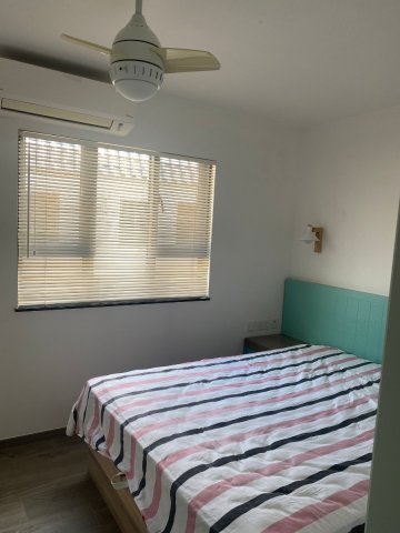 井頭村 95080030