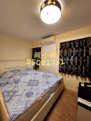 布心排 95081731