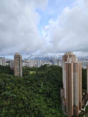 海港花園 牛池灣 高層 N124361 售盤