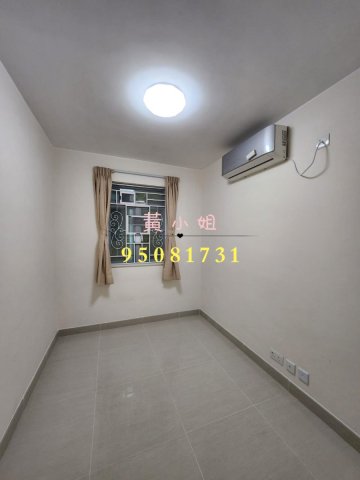 大尾督村  95081731
