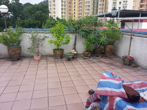 大圍新村 @ EMILY 95080096