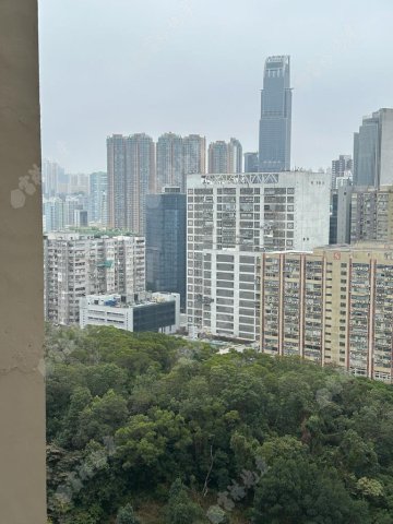 荃灣中心 荃灣中心