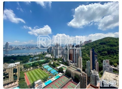 JONES HIVE Causeway Bay 1561333 For Buy