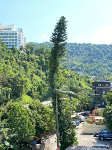 樟树滩 大埔 H028058 售盘