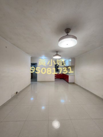 布心排  95081731