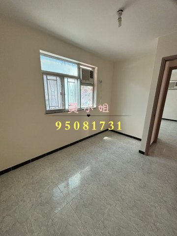 洞梓  95081731