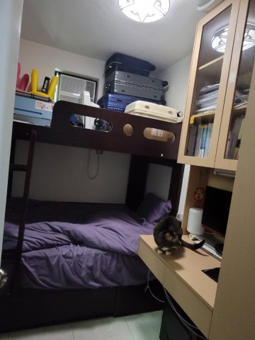 輋下村 @ EMILY 95080096