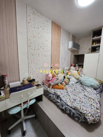 南華莆  95081731