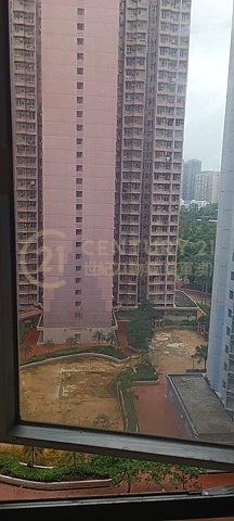 KWONG MING COURT PH 02 BLK A (HOS) Tseung Kwan O H F182232 For Buy