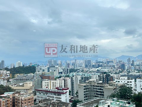 雅景楼 九龙塘 高层 T131496 售盘