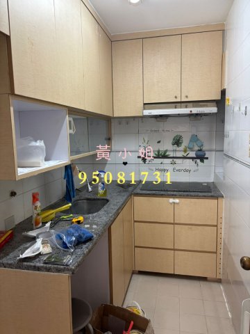 洞梓  95081731
