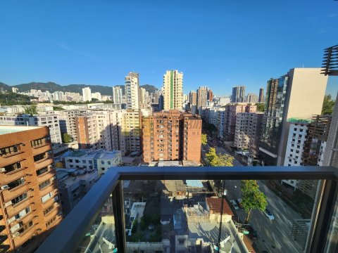 名鑽 何文田 高層 1620434 售盤