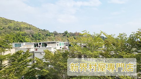 汀角300號 大埔 高層 T003300 售盤