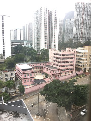 PETER'S HSE Wong Tai Sin M T124063 For Buy