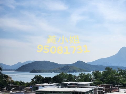 布心排   95081731