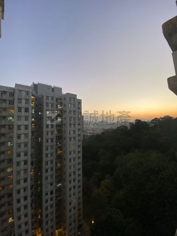 翠竹花园 黄大仙 中层 T086606 售盘