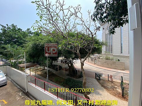 紫兰别墅 九龙塘 T142831 售盘
