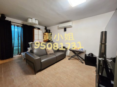 布心排 95081731