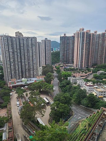 广林苑 沙田 中层 T007053 售盘