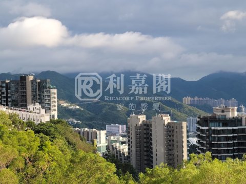LE CAP Shatin H 1530778 For Buy