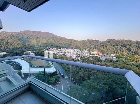 嵐山  