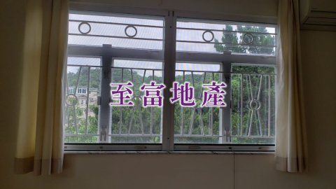 林 大埔 頂層 1544728 售盤