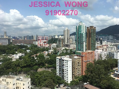 巴富花园 何文田 高层 T134164 售盘